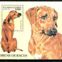 Benin 1997 Dogs (Ridgeback) perf m/sheet unmounted mint, SG MS 1496