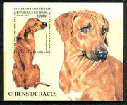Benin 1997 Dogs (Ridgeback) perf m/sheet unmounted mint, SG MS 1496