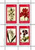 Staffa 1982 Flowers #33 (Star of Bethlehem, Ixia, Babiana & Virgin's Bower) perf set of 4 values unmounted mint