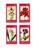 Staffa 1982 Flowers #33 (Star of Bethlehem, Ixia, Babiana & Virgin's Bower) imperf set of 4 values unmounted mint