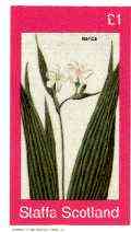 Staffa 1982 Flowers #33 (Marica) imperf souvenir sheet (£1 value) unmounted mint