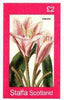 Staffa 1982 Flowers #33 (Pink Amaryllis) imperf deluxe sheet (£2 value) unmounted mint