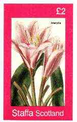 Staffa 1982 Flowers #33 (Pink Amaryllis) imperf deluxe sheet (£2 value) unmounted mint