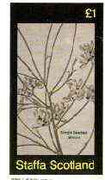 Staffa 1982 Flowers #34 (Single Seeded Broom) imperf souvenir sheet (£1 value) unmounted mint
