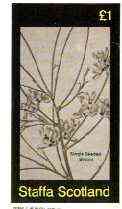 Staffa 1982 Flowers #34 (Single Seeded Broom) imperf souvenir sheet (£1 value) unmounted mint