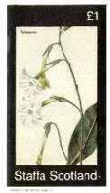Staffa 1982 Flowers #35 (Tobacco) imperf souvenir sheet (£1 value) unmounted mint