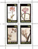 Staffa 1982 Flowers #36 (Epidendrum, Morea, Melaspherula & Corn Flag) perf set of 4 values unmounted mint