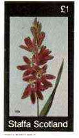 Staffa 1982 Flowers #37 (Ixia) imperf souvenir sheet (£1 value) unmounted mint