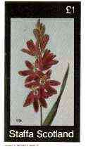 Staffa 1982 Flowers #37 (Ixia) imperf souvenir sheet (£1 value) unmounted mint
