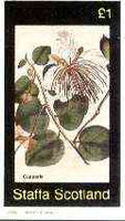 Staffa 1982 Flowers #39 (Capparis) imperf souvenir sheet (£1 value) unmounted mint