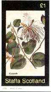 Staffa 1982 Flowers #39 (Capparis) imperf souvenir sheet (£1 value) unmounted mint