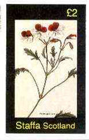 Staffa 1982 Flowers #39 (Pelargonium) imperf deluxe sheet (£2 value) unmounted mint