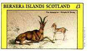 Bernera 1982 Domesticated Animals (Aegagrus Goats) imperf souvenir sheet (£1 value) unmounted mint