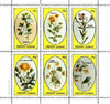 Grunay 1982 Flowers #15 (Hawthorn, Fleabane, Willow Herb, Thistle etc) perf set of 6 values unmounted mint