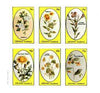 Grunay 1982 Flowers #15 (Hawthorn, Fleabane, Willow Herb, Thistle etc) imperf set of 6 values unmounted mint