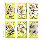 Grunay 1982 Flowers #15 (Hawthorn, Fleabane, Willow Herb, Thistle etc) imperf set of 6 values unmounted mint