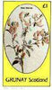 Grunay 1982 Flowers #15 (Rest Harrow) imperf souvenir sheet (£1 value) unmounted mint