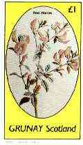 Grunay 1982 Flowers #15 (Rest Harrow) imperf souvenir sheet (£1 value) unmounted mint