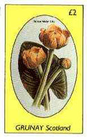 Grunay 1982 Flowers #15 (Water Lily) imperf deluxe sheet (£2 value) unmounted mint