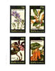 Staffa 1982 Flowers #40 (Pentstemon, Columnea, Cattleya & Brugmansia) imperf set of 4 values unmounted mint