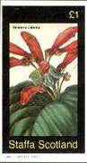 Staffa 1982 Flowers #40 (Gesnera) imperf souvenir sheet (£1 value) unmounted mint