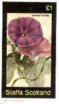 Staffa 1982 Flowers #42 (Ipomea) imperf souvenir sheet (£1 value) unmounted mint