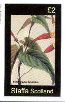 Staffa 1982 Flowers #42 (Siphocempylus) imperf deluxe sheet (£2 value) unmounted mint