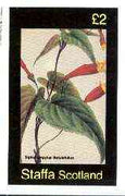 Staffa 1982 Flowers #42 (Siphocempylus) imperf deluxe sheet (£2 value) unmounted mint