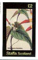 Staffa 1982 Flowers #42 (Siphocempylus) imperf deluxe sheet (£2 value) unmounted mint