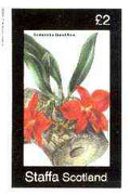 Staffa 1982 Flowers #43 (Sophronitis) imperf deluxe sheet (£2 value) unmounted mint