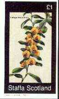 Staffa 1982 Flowers #44 (Lalage Hoveafolia) imperf souvenir sheet (£1 value) unmounted mint