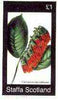 Staffa 1982 Flowers #45 (Combretum) imperf souvenir sheet (£1 value) unmounted mint