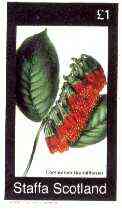 Staffa 1982 Flowers #45 (Combretum) imperf souvenir sheet (£1 value) unmounted mint