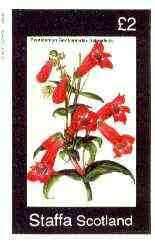 Staffa 1982 Flowers #45 (Pentstemon) imperf deluxe sheet (£2 value) unmounted mint