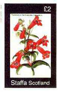 Staffa 1982 Flowers #45 (Pentstemon) imperf deluxe sheet (£2 value) unmounted mint