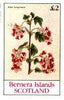 Bernera 1982 Flowers #20 (Ribes Sanguineum) imperf deluxe sheet (£2 value) unmounted mint