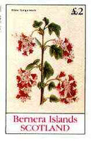 Bernera 1982 Flowers #20 (Ribes Sanguineum) imperf deluxe sheet (£2 value) unmounted mint