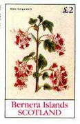 Bernera 1982 Flowers #20 (Ribes Sanguineum) imperf deluxe sheet (£2 value) unmounted mint