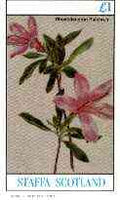 Staffa 1982 Flowers #47 (Rhododendron) imperf souvenir sheet (£1 value) unmounted mint