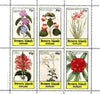 Bernera 1982 Flowers #21 (Mimulus, Justicia, Rhododendron, etc) perf,set of 6 values unmounted mint