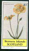 Bernera 1982 Flowers #21 (Calochortus Luteus) imperf souvenir sheet (£1 value) unmounted mint