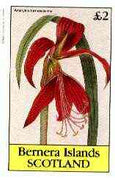 Bernera 1982 Flowers #21 (Amaryllis) imperf deluxe sheet (£2 value) unmounted mint