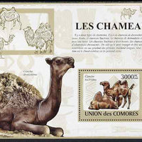 Comoro Islands 2009 Camels perf s/sheet unmounted mint
