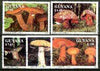 Guyana 1991 Fungi complete set of 5 fine cto used*