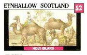 Eynhallow 1982 Animals #10 (Camels) imperf deluxe sheet (£2 value) unmounted mint