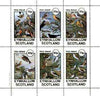 Eynhallow 1982 Mixed Birds (Finches, Thrushes, Larks & Warblers) perf set of 6 values unmounted mint