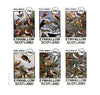 Eynhallow 1982 Mixed Birds (Finches, Thrushes, Larks & Warblers) imperf set of 6 values unmounted mint