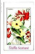Staffa 1982 Flowers #48 (Carnations) imperf deluxe sheet (£2 value) unmounted mint