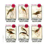 Eynhallow 1982 Sunbirds (Nectarinia) imperf set of 6 values unmounted mint