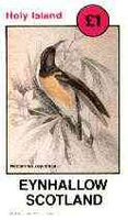 Eynhallow 1982 Sunbirds (Nectarinia zeylonica) imperf souvenir sheet (£1 value) unmounted mint